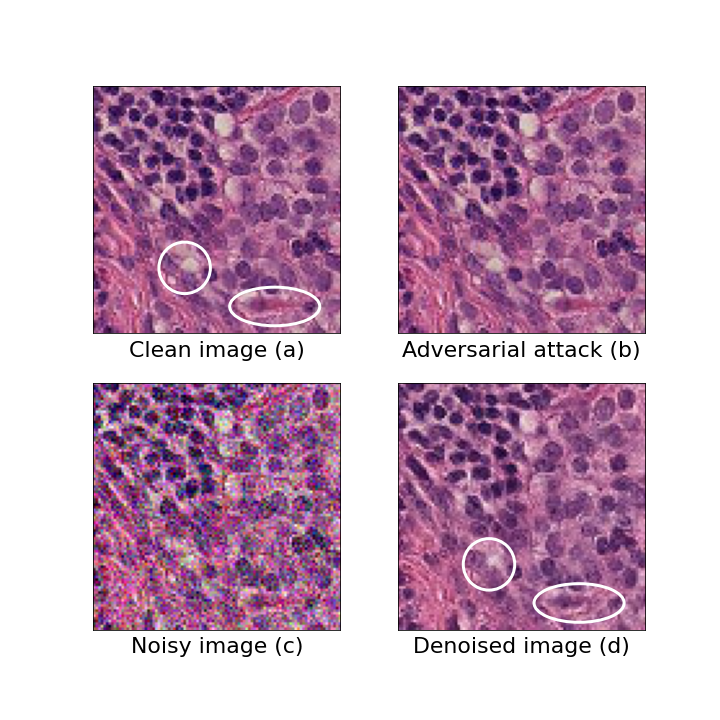 Denoising Diffusion Models